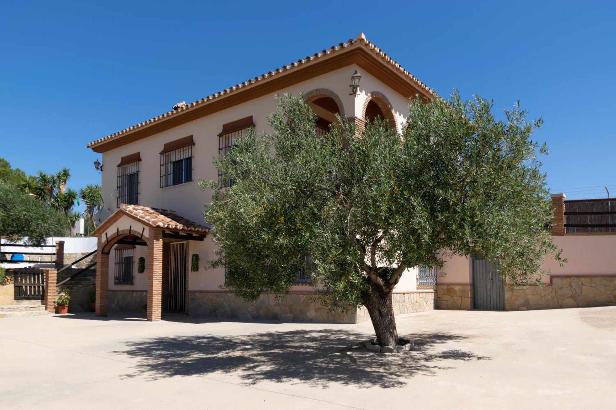 Casa Los Olivos Alora - Caminito Del Rey Exterior photo